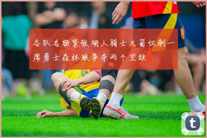各队名额紧张湖人骑士火箭仅剩一席勇士森林狼争夺两个空缺